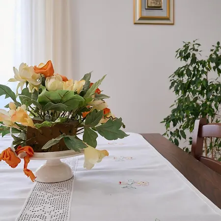 Apartment Tonini House